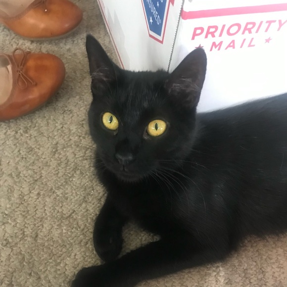 This is Kat, your Posh Ambassador! - Picture 4 of 7